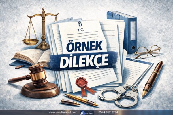 Cumhurbaşkanına Hakaret Suçu Savunma Dilekçesi